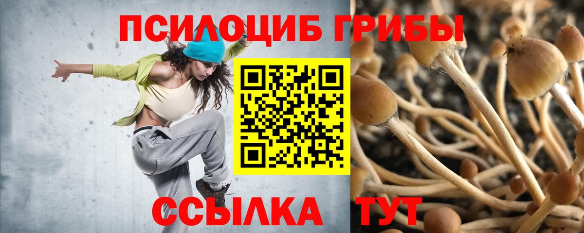 Галлюциногенные грибы Psilocybe Чебаркуль