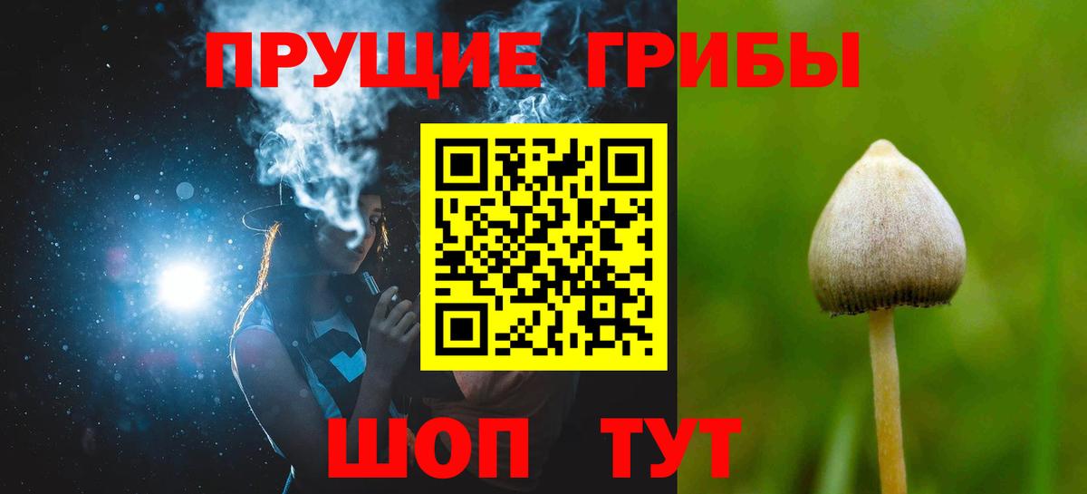 Чебаркуль  где можно купить   Вход с VPN  Псилоцибиновые грибы Psilocybine cubensis  Галлюциногенные грибы мицелий 